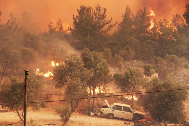 Bodrum yangınında son durum! Belediye Başkanı Ahmet Aras açıkladı - Resim: 2