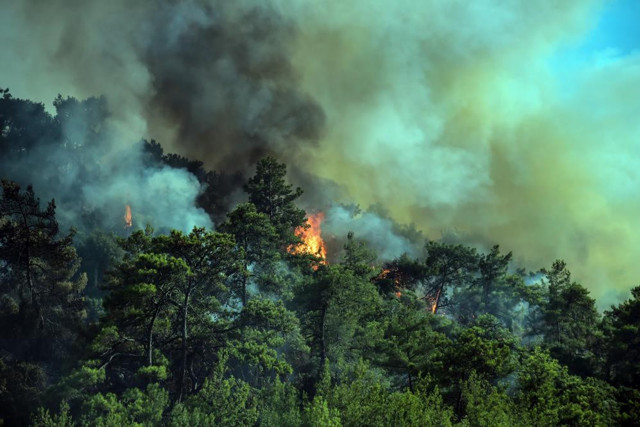 Orman yangınlarında 8. günde kötü haber! Yangın termik santrale ulaştı - Resim: 2