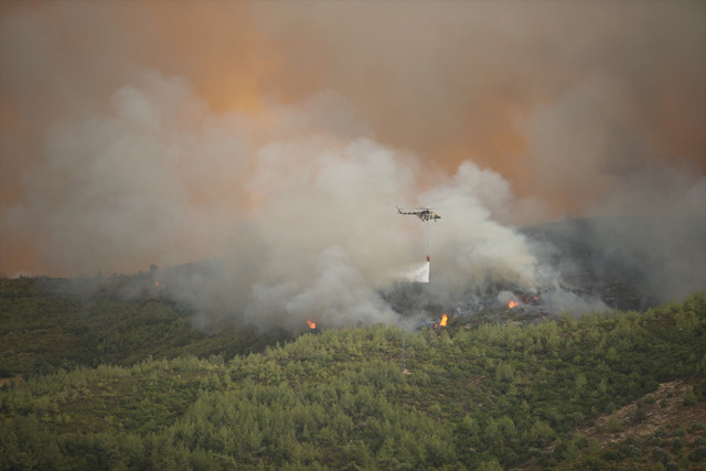 Bodrum, Marmaris, Köyceğiz, Milas yangınlarında son durum Bakan Pakdemirli güzel haberi duyurdu - Resim: 4