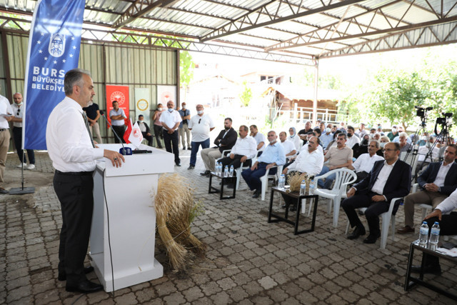 Bursa'da siyez buğdayı ve çörek otunda hasat zamanı - Resim: 1