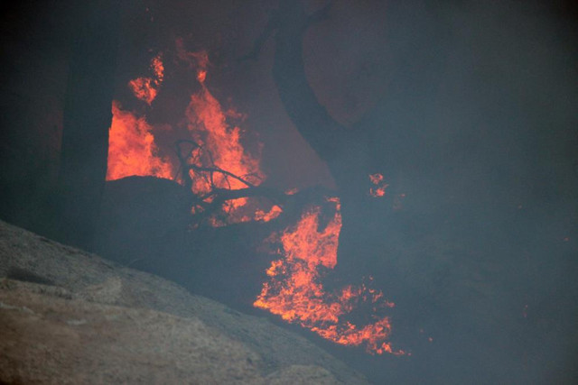 Türkiye 11 gündür yanıyor yangın bölgelerinde son durum! İki ilde 6 noktada yangın - Resim: 0