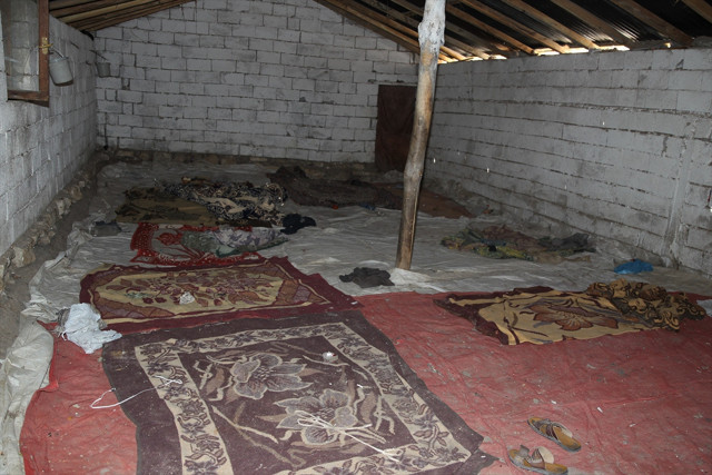 Van'da 'şok evleri' yıkıldı düzensiz göçmen operasyonunda 5 bin 16 kişi yakalandı - Resim: 0