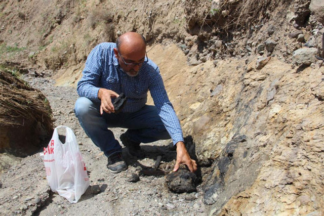 Erzurum'un Narman ilçesinde 160 milyon yıllık keşif: İlk günkü halini koruyor - Resim: 0