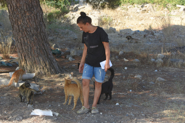 İzmir'de darp iddiasında karşı taraf konuştu: Olay kedi-köpek kavgasından ibaret değil - Resim: 0