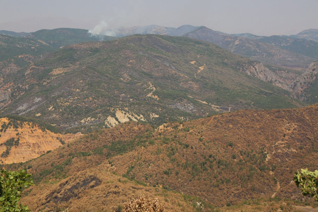 Tunceli’de tüm yangınlar kontrol altına alındı - Resim: 1