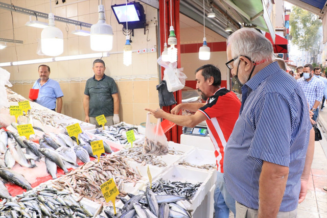 Bu yıl hamsi bol olacak gibi palamut ise az; Balık fiyatları düşer mi? - Resim: 1