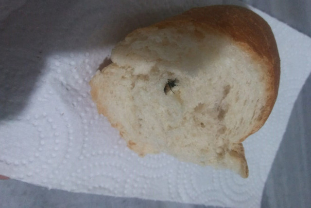 Tekirdağ'da ekmeğin içinden sinek çıktı! - Resim: 0