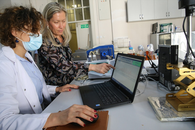 Uzmanlar araştırdı! Marmara'dan çıkan balık tüketilir mi? - Resim: 0