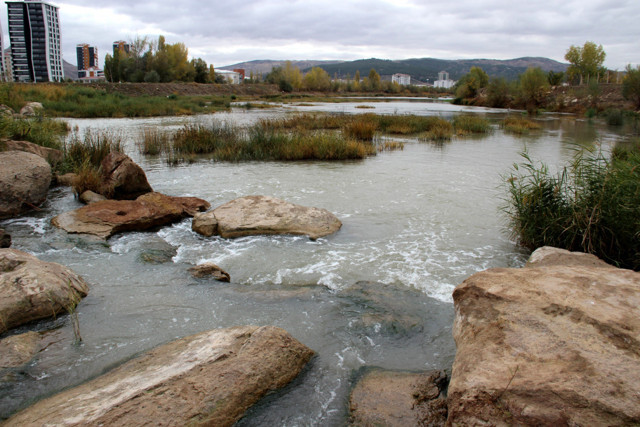 Türkiye'nin en uzun nehri Kızılırmak otlağa dönüştü - Resim: 0