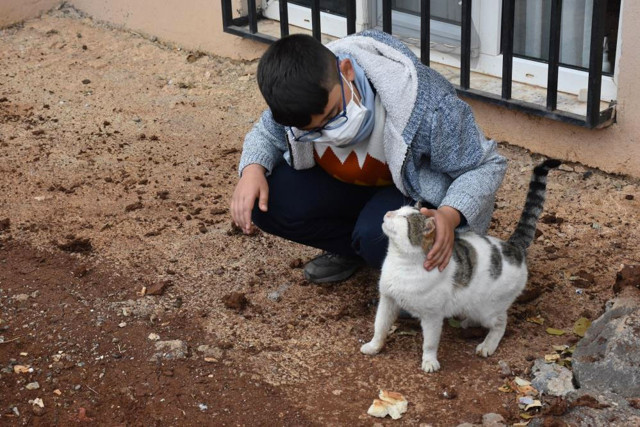 Üşüyen kedinin üstüne hırkasını örten çocuk konuştu - Resim: 0