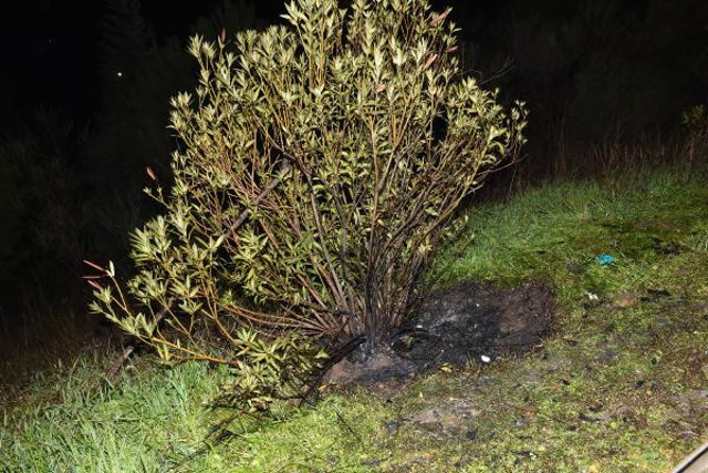 Valize koydukları cesedi yol kenarında yaktılar! Yangın ihbarına giden itfaiyecilerin kanı dondu - Resim: 2