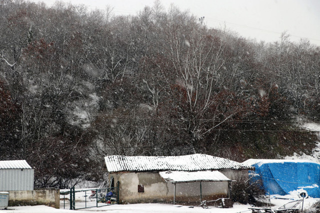 Trakya'nın yüksek kesimlerinde kar yağışı başladı! Hava sıcaklığı 2 dereceye düştü - Resim: 0