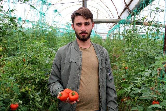 Tüketiciye müjde verelim diye duyurdu: Patlıcan ve domates 10 liraya biber 20 liraya düşüyor - Resim: 0