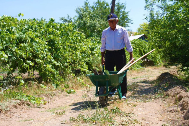 Helal olsun! 38 yılda 30 bin ağaç dikerek köyün çehresini değiştirdi - Resim: 1