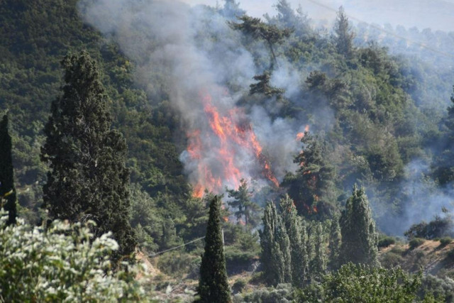 Ekipler seferber oldu, Aydın'daki yangın kontrol altına alındı - Resim: 2