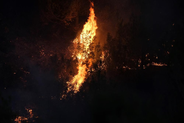 Manisa ve Kütahya'da orman yangını! 20 ev boşaltıldı, 40 kişi tahliye edildi - Resim: 8