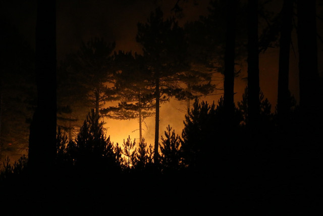 Manisa ve Kütahya'da orman yangını! 20 ev boşaltıldı, 40 kişi tahliye edildi - Resim: 0