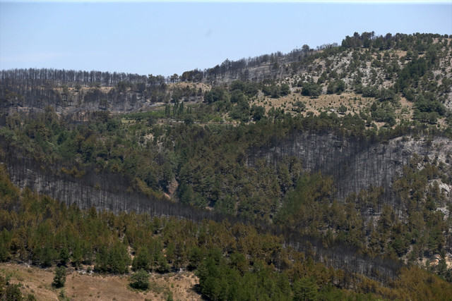 Kütahya ve Manisa'daki orman yangını! İyi haber geldi vali son durumu açıkladı - Resim: 0