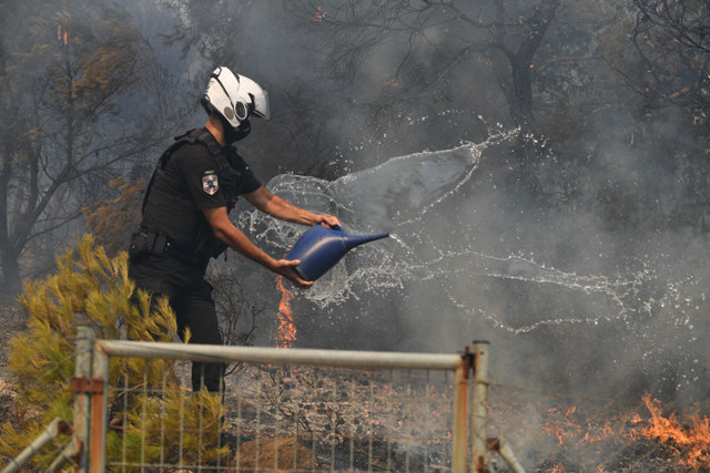 Avrupa'daki orman yangınları 15 yıllık ortalamanın yaklaşık 4 katına çıktı - Resim: 0