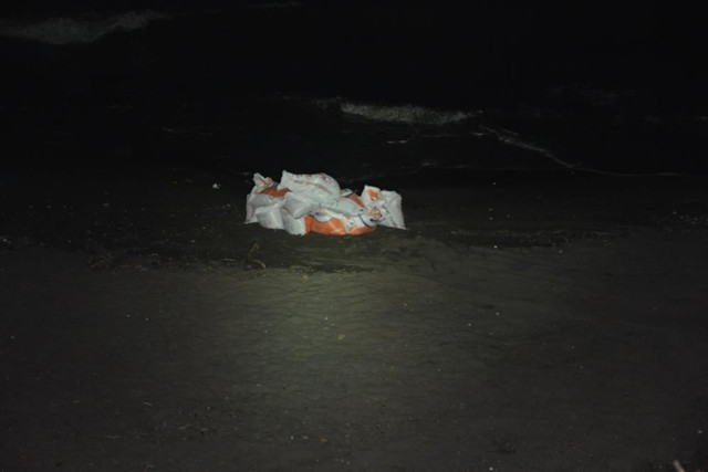 Ordu sahilinde Rus yapımı mayın tetikleyicisi imha edildi - Resim: 3