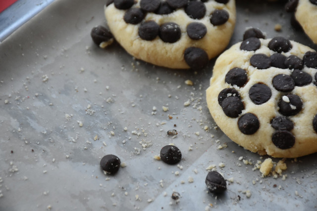Mersin'de pastanede mide bulandıran görüntüler! Hepsine el konuldu - Resim: 0