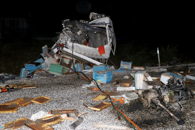 Muğla'da arı yüklü kamyonla otomobil çarpıştı! İkisi eski başkan 5 kişi öldü - Resim: 0