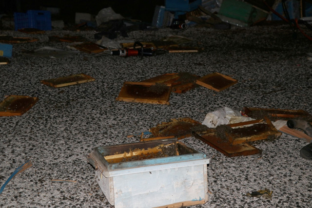 Muğla'da feci kaza! Kamyonla otomobil çarpıştı: 4 kişi öldü, 3 kişi yaralandı - Resim: 1