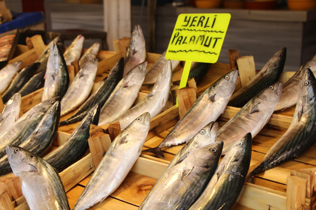 Son 50 yılda böylesi görülmedi! Marmara ve Karadeniz'de hangi balık daha çok? - Resim: 1