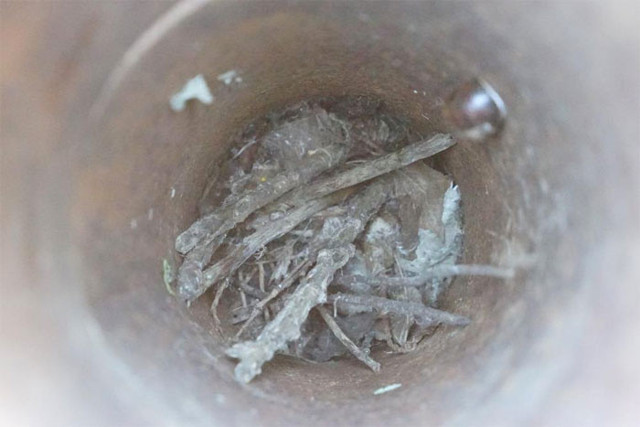 Kastamonu'da Alman firma açmış gözümle yandığını gördüm kuyu sonra kapatıldı - Resim: 1