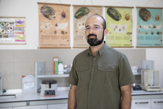 İnsana bulaşıyor! Türkiye'de ilk kez görüldü, İstanbul'da çok var! Yeni salgın endişesi... - Resim: 1