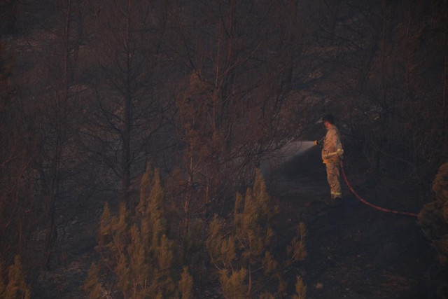 Manisa'da 2 mahallenin boşaltıldığı orman yangını kontrol altına alındı - Resim: 2
