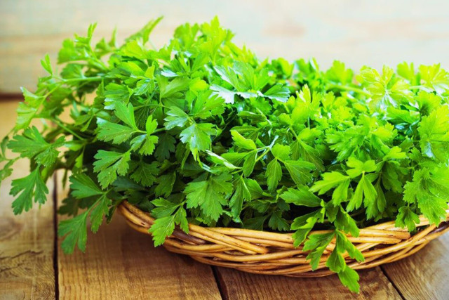 İdrar yaparken yanma hissi varsa... İdrar yolu enfeksiyonunu evde gideren yöntemler! - Resim: 1