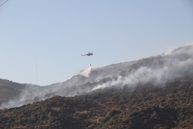 Aydın'da korkutan yangın: Makilik alanda başladı, alevler ormana doğru ilerliyor! - Resim: 2
