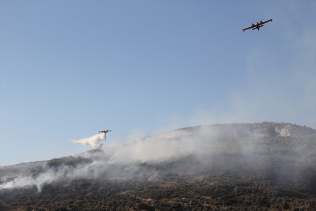 Aydın'da korkutan yangın: Makilik alanda başladı, alevler ormana doğru ilerliyor! - Resim: 3