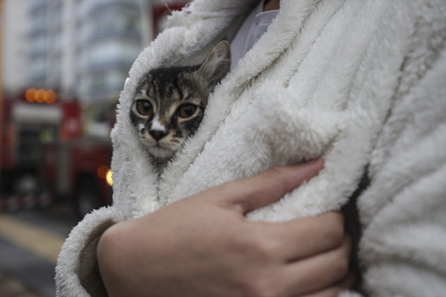 Ankara'da büyük panik! Hızla 10. kata ulaştı hastanelik olanlar var - Resim: 2