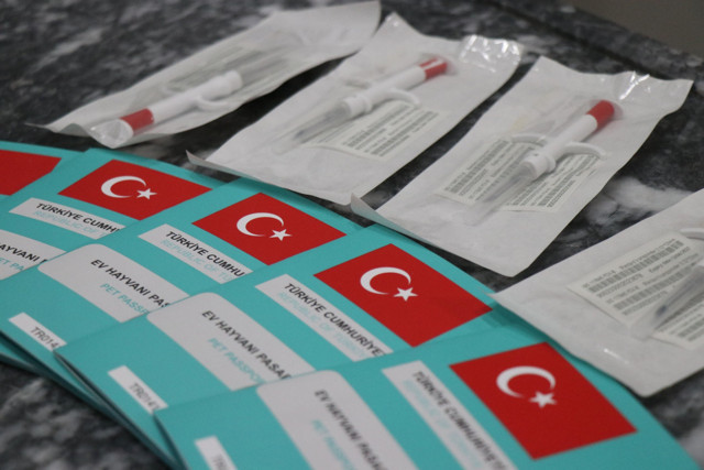 Mikro çip kuyruğu var 31 Aralık 2022'ye kadar çip taktırmayan yandı! Veterinerler bitti diyor - Resim: 3
