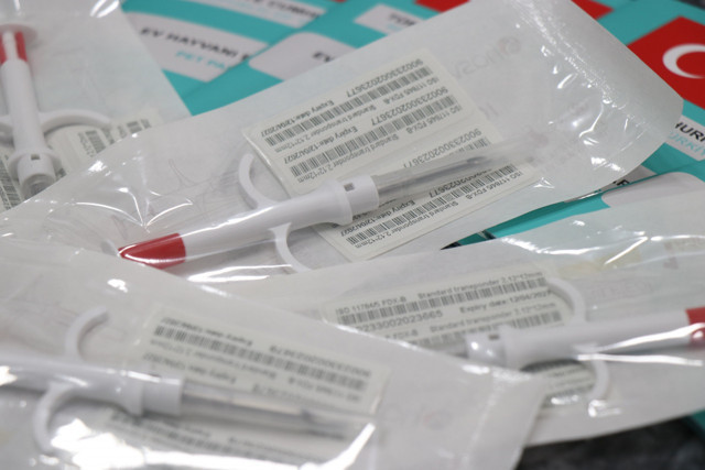 Mikro çip kuyruğu var 31 Aralık 2022'ye kadar çip taktırmayan yandı! Veterinerler bitti diyor - Resim: 1