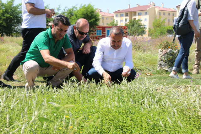 Terör bittikçe yatırım arttı! İsteyince oluyor, Van altın dönemini yaşıyor - Resim: 2