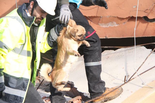 Yürekleri ısıtan haber: 6 katlı bina enkazından sağ çıktı, depremzede kadın sahiplendi! - Resim: 0