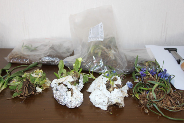 Türkiye'den Avrupa'ya kaçıracaklardı! İki Slovakyalıya 488 bin TL para cezası kesildi - Resim: 2