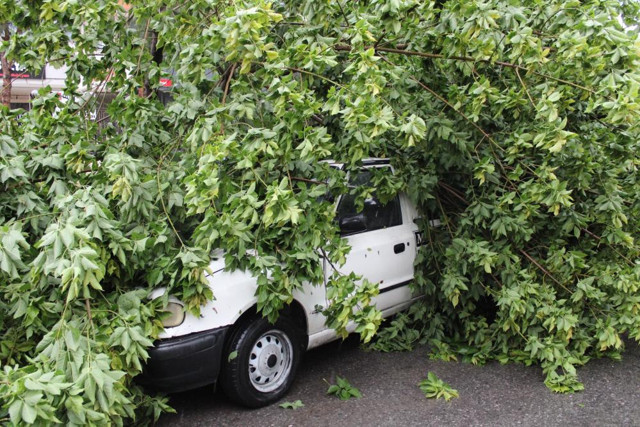 Aydın'da sağanak yağış yolları göle çevirdi, ağaçları kırıp devirdi - Resim: 0