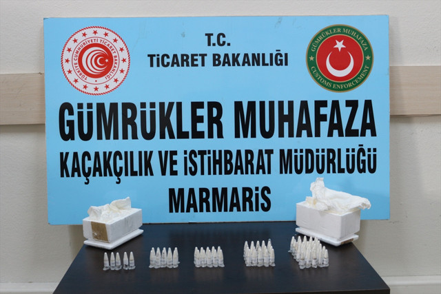 Polonya'dan Marmaris'e postayla gönderildi: 76 tarantula yavrusu ele geçirildi! - Resim: 0