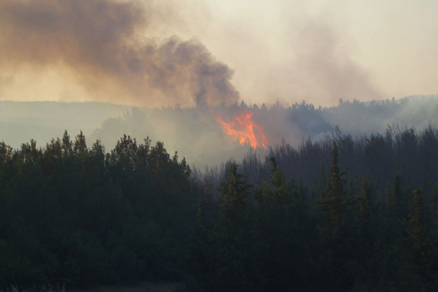 Bakan İbrahim Yumaklı açıkladı! Son 10 günde 203 orman yangını... - Resim: 0