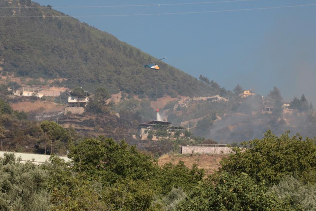 Kahramanmaraş'ta korkutan orman yangını! Rüzgarın etkisiyle yayıldı, alevler evlere sıçradı! - Resim: 2