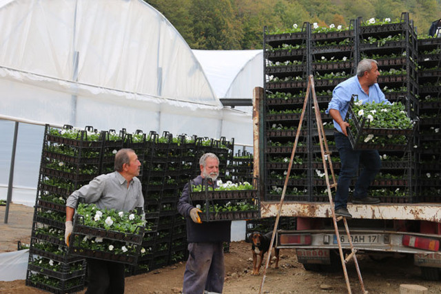Çiftçi üretiyor, Bursa çiçek açıyor - Resim: 0