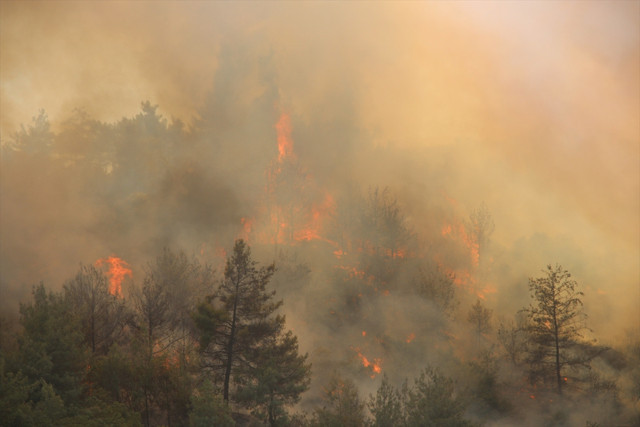 İzmir'in iki ilçesinde ve Hatay'da orman yangını çıktı! Helikopterler, uçaklar bölgeye gönderildi - Resim: 2