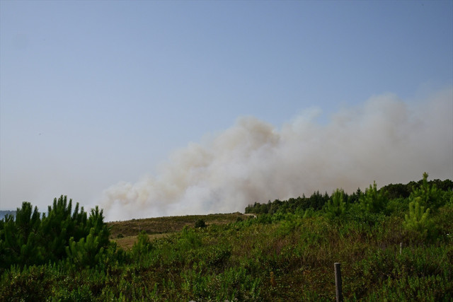 Beykoz'da ormanlık alanda yangın! Yoğun dumanlar gökyüzünü kapladı - Resim: 1