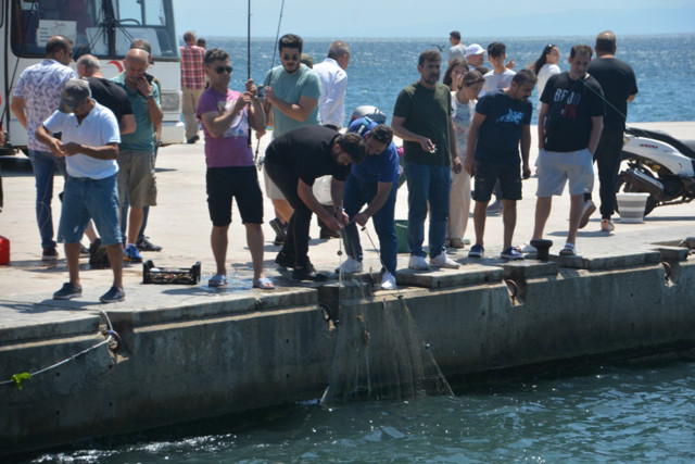Sinop'ta ilginç doğa olayı vuku buldu! Oltasını kapan sahile koştu, balıkçılar da fırsatı kaçırmadı - Resim: 1