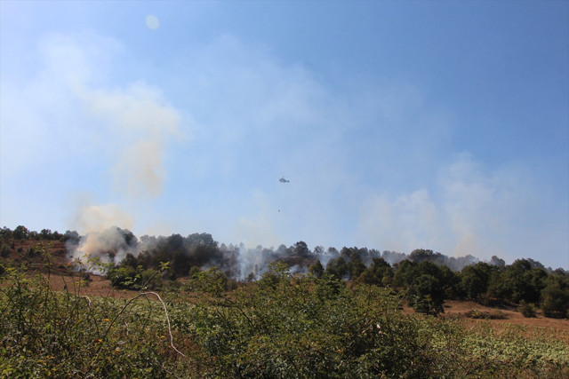 Bilecik'te orman yangını! Alevlere havadan ve karadan müdahale ediliyor - Resim: 1