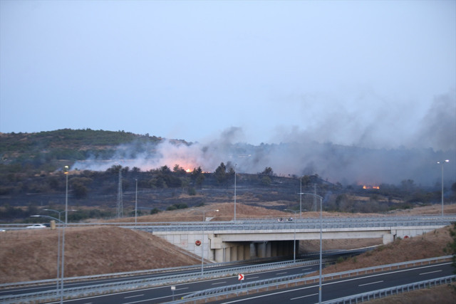 Gelibolu'da orman yangını çıktı! Alevler sıçradı, ekipler bölgede - Resim: 0